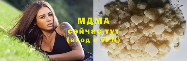 индика Алексин