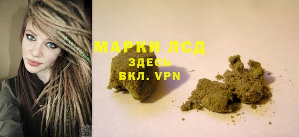 PSILOCYBIN Алзамай
