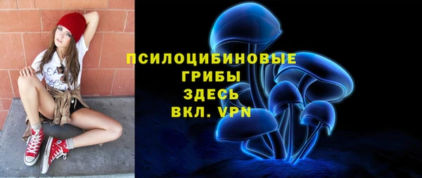 индика Алексин