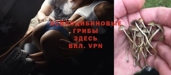 индика Алексин