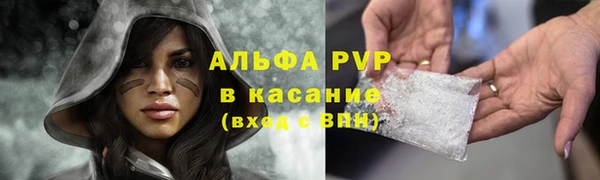 индика Алексин