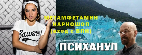 индика Алексин