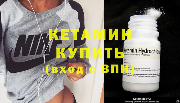 индика Алексин