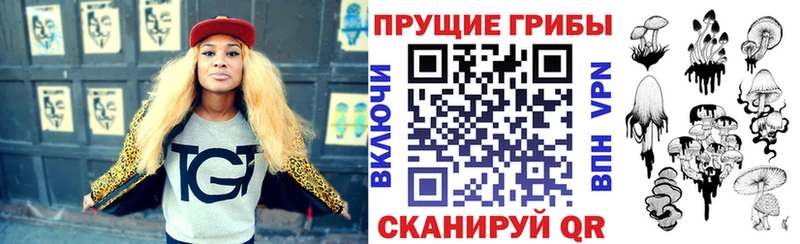 ОМГ ОМГ маркетплейс  купить наркоту  Дюртюли  Псилоцибиновые грибы мухоморы 